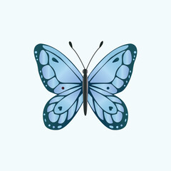 Butterfly vector illustration on ligth blue background.