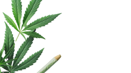 Joint and cannabis on a transparent background