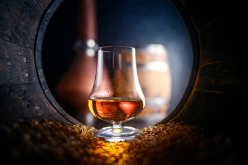 Tasting glass with whiskey standing inside of old oak barrel filled with barley grains. Traditional alcohol distillery concept