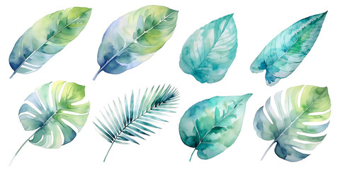 Obraz premium PNG files with various leaves and transparent backgrounds expressed in watercolors