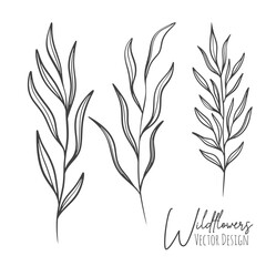Set of line art wildflowers and grass illustration. Handdrawn botanical contour outline of  for wedding, invitation, save the date, card. Trendy elegant greenery collection for web, print, posters.