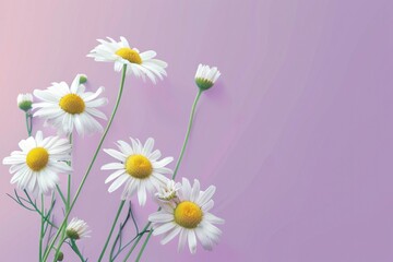 A bouquet of daisies arranged in a vase and placed on a table, suitable for a still life photography or an interior design context