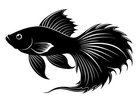 recommend clip art: Betta Fish SVG , Betta Fish Vector Silhouette  illustration