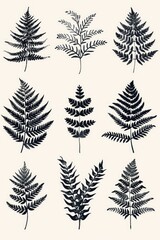 Obraz premium A collection of six different types of fern leaves, showcasing their unique shapes and textures