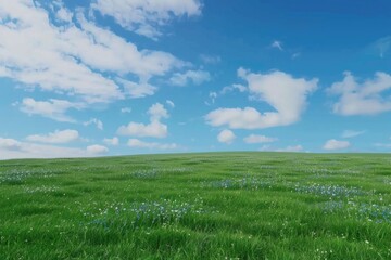 Field of lush green grass featuring vibrant blue flowers