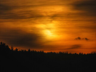 Golden Sunrise over Forest Horizon