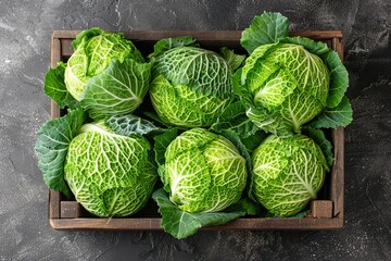 A green apple in a box on a dark background, top view