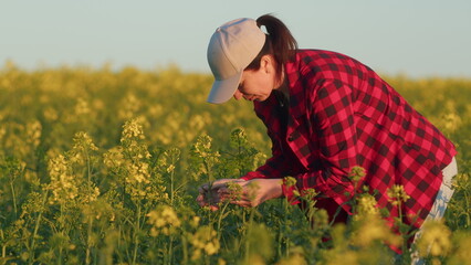 Female Hand Touches Rapeseed Flower At Sunset. Hand Of Young Woman Girl In A Checkered Shirt...