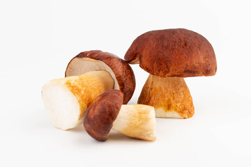 Bay bolete. Edible mushrooms (Boletus badius) isolated on white background with clipping path. Package design element. Wild forest mushrooms
