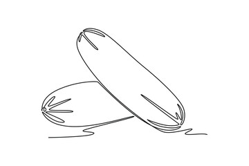 Single continuous line drawing of two whole healthy organic cucumber for orchard logo identity. Fresh vegetable concept for vegan garden icon. Dynamic one line draw graphic design vector illustration
