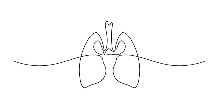 Continuous one line drawing of human organ - lungs. Minimalist lung design. Healthy person. Vector illustration.