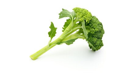 Photograph of a single broccoli floret