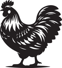A Hen Vector Illustration 