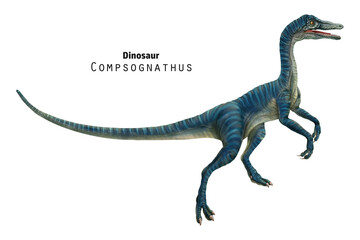 Compsognathus illustration. Small blue striped dinosaur.