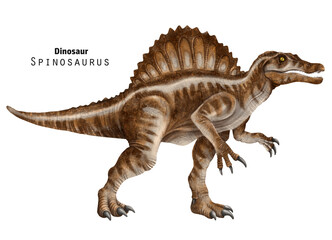 Fototapeta premium Spinosaurus illustration. Dinosaur with crest on back. Brown, beige dino