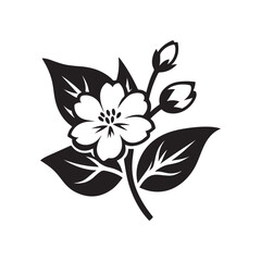 jasmine flower vector