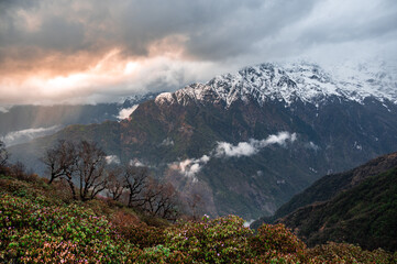 Dramatic mountain landscape with snow-capped peaks, vibrant green foliage, and a cloudy sky illuminated by the setting sun. Mist clings to the mountains, enhancing the natural beauty.