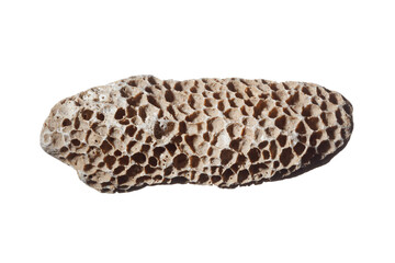 Porous coral sea stone, pebble isolated on a white background.