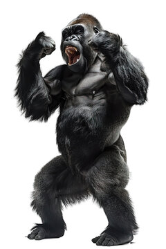 angry gorilla isolated on transparent background ,standing angry gorilla ,generative ai
