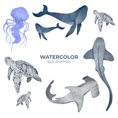 Fototapeta premium Vector Watercolor set of animals sea