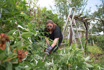 A woman trims a hedge in the garden