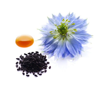 Black cumin seeds with nigella sativa flower on white background