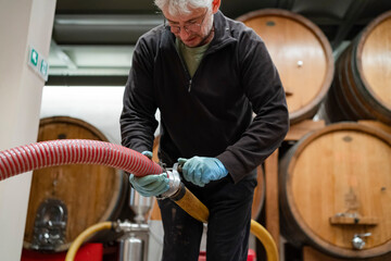 Winery worker securing hose during wine transfer process