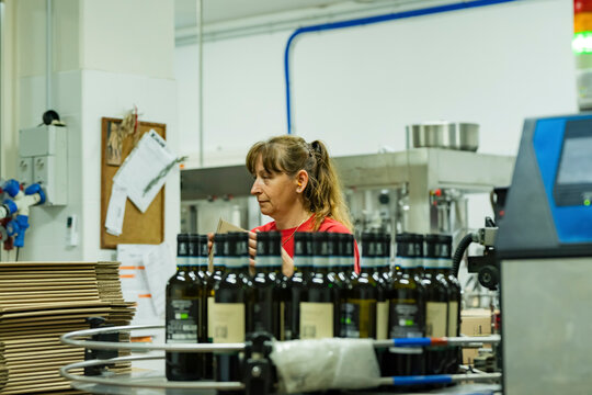 Winery worker inspecting production line