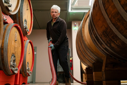 Winery worker cleaning large oak barrels