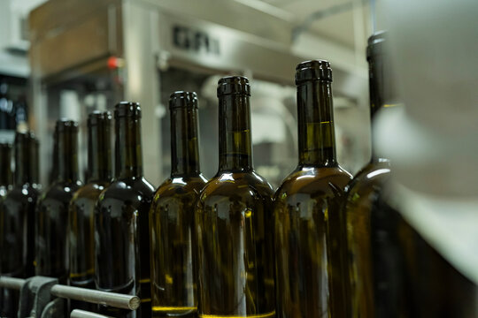 Rows of wine bottles on production line in winery