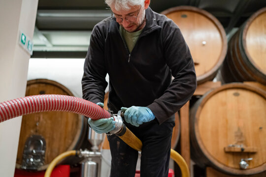 Winery worker securing hose during wine transfer process