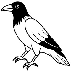 solid-black-outline-common-raven-animal-vector
