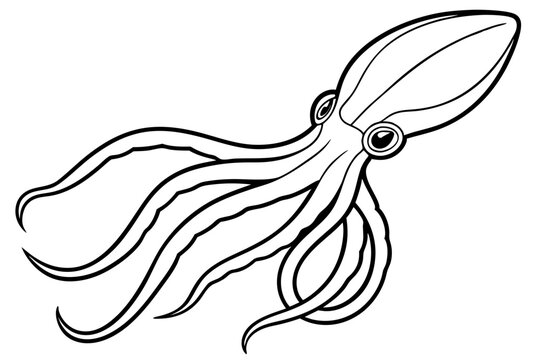 recommend clip art: squid line art vector illustration