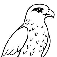 solid-black-outline-cooper-s-hawk-animal-vector