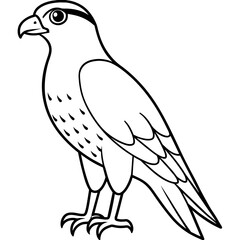solid-black-outline-cooper-s-hawk-animal-vector