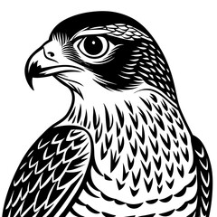 solid-black-outline-cooper-s-hawk-animal-vector