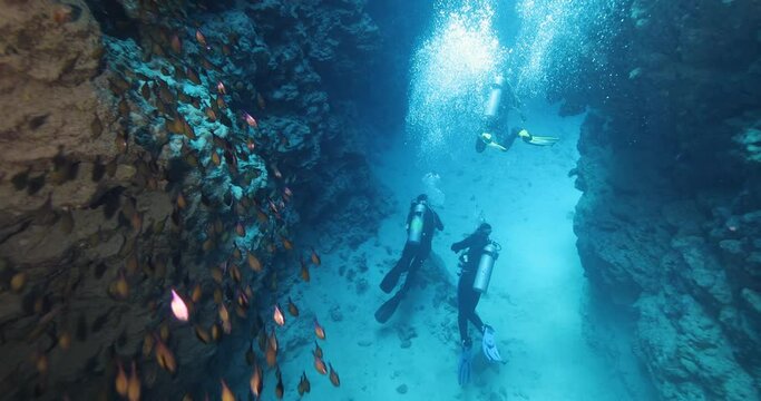Group of divers swimming in an underwater cave canyon. Diving instructor and group students in underwater exploration. The instructor teaches the students. Scuba diving training and education.