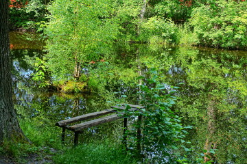 a beautiful panorama of a lake with trees with one old, broken homemade wooden bridge for fishing, an empty bridge standing in the water near the shore with green grass during the summer day