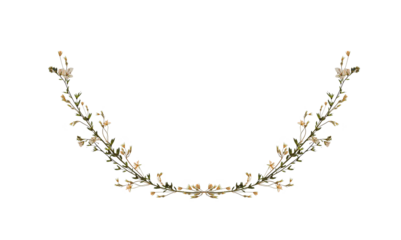 Delicate floral arrangement of dried wildflowers in the form of a half circle. Floral summer composition for wreaths, corner designs, wedding invitations and cards. Pressed floristry, oshibana.