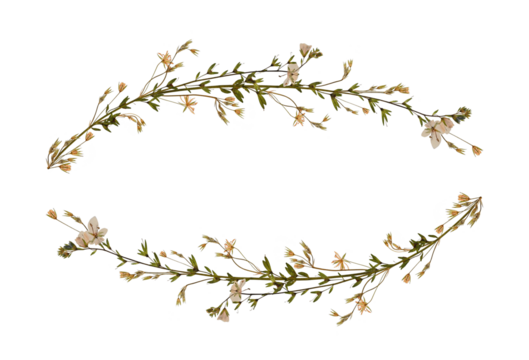 Delicate floral arrangement of dried wildflowers isolated on white. Design element for wedding cards, invitations, frames and floral arrangement. Pressed floristry, oshibana.