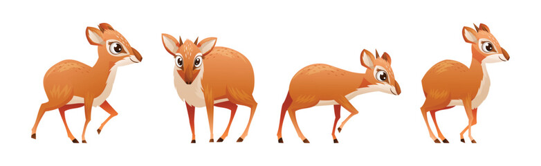 Brown Dik-dik as African Small Antelope with Horns in Different Pose Vector Set