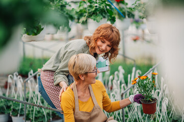 Mother and daughter having great time in family greenhouse.