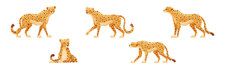 Cheetah as African Large Cat with Long Tail and Black Spots on Coat Vector Set
