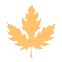 A maple leaf