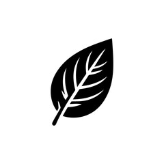Obraz premium Illustration of leaf icon