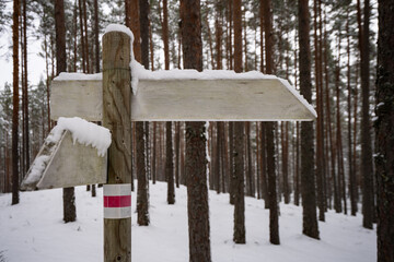 Wooden sign in the forest in estonia showing us where to go. It is winter and everything is covered with snow, the sign also has a few layers of snow on top of it.