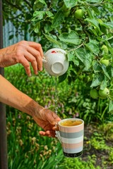 Fototapete bei efototapeten.de bestellen   