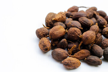 Black Cardamom or Greater Cardamom