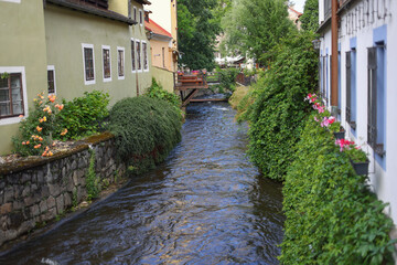 Fototapeta premium View on Vltava river in Cesky Krumlov