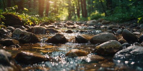 Fototapeta premium Rocky forest alongside stream